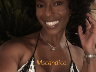 mscandice Porn University