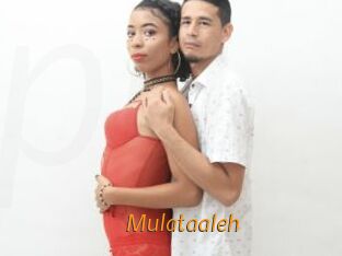 Mulataaleh