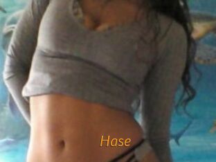 Hase