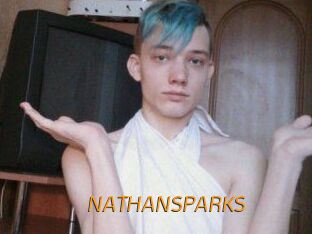NATHAN_SPARKS