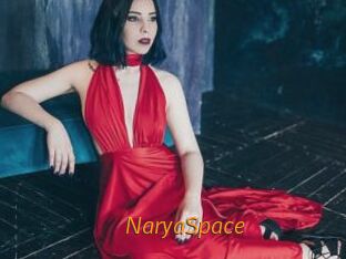 NaryaSpace