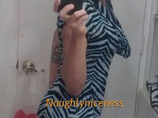 Naughtyniceness