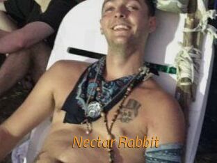 Nectar_Rabbit