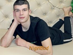 NigelBud