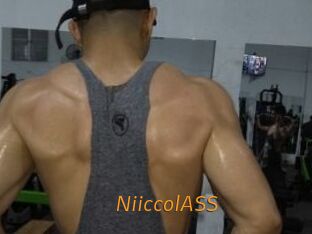 NiiccolASS