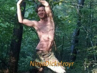 NinjaDickstroyr