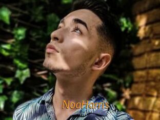 NoaHarris