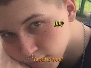 NoahSweet