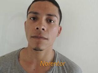 Noren_tor