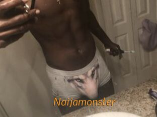 Naijamonster