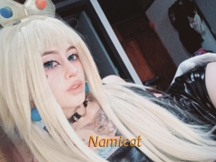 namicat Porn University