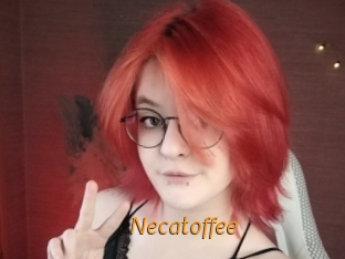 necatoffee Porn University