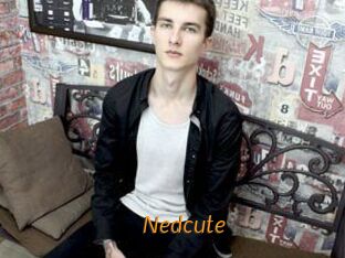 Nedcute