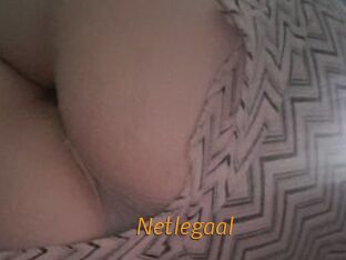Netlegaal