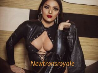 newtransroyale Porn University