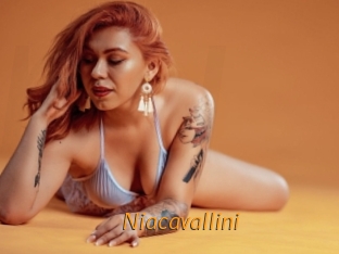 Niacavallini