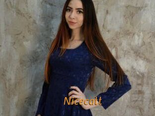 Nicecatt