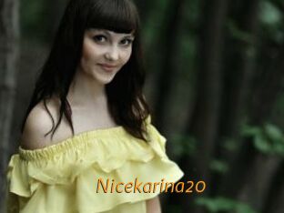 Nicekarina20
