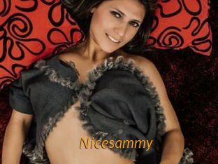 Nicesammy