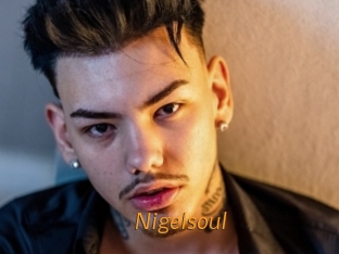 Nigelsoul
