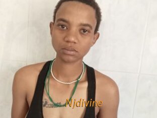 Njdivine