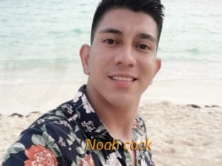 noah_cock Porn University