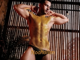 noahallen Porn University