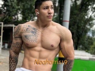 Noaharris19