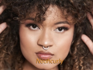 Noahcurly