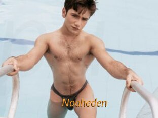 Noaheden