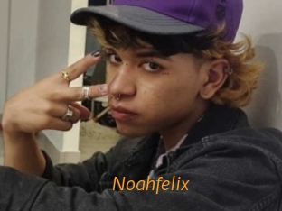 noahfelix Porn University