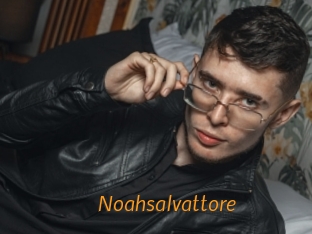 Noahsalvattore
