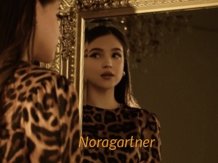 Noragartner