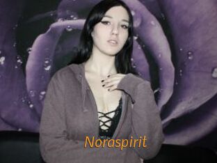 Noraspirit