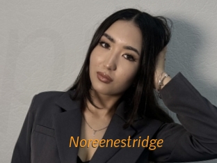 Noreenestridge
