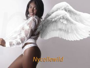 Nycollewild
