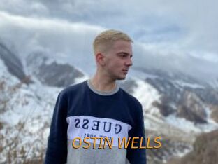 OSTIN_WELLS