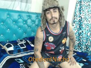 ObedientNacho