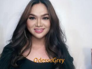 OdessaGrey Porn University