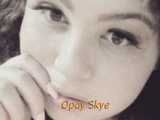 Opay_Skye