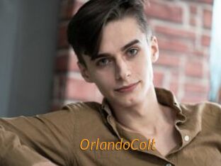 OrlandoColt Porn University