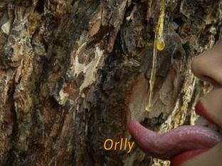 Orlly Porn University