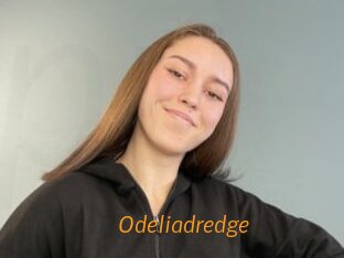 Odeliadredge