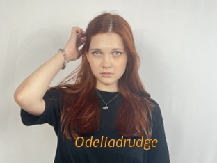 Odeliadrudge