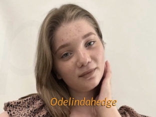 Odelindahedge
