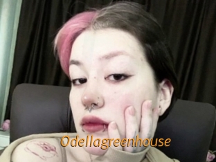 Odellagreenhouse