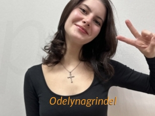 Odelynagrindel