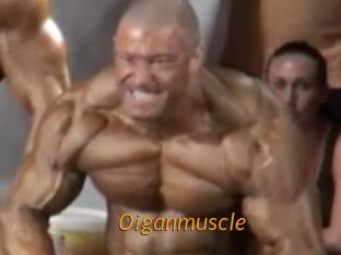 Oigan_muscle