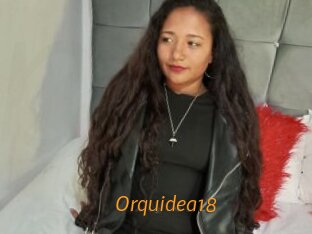 Orquidea18