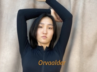 Orvaalder
